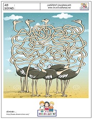 okul öncesi labirent bulmacai çalışma sayfaları